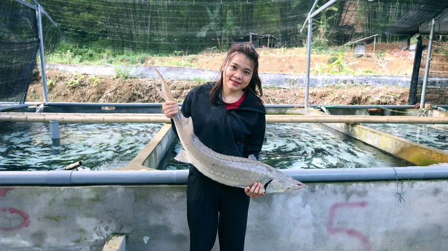 Penternakan Sturgeon di Thanh Hoa: Daripada Kesusahan di Pergunungan kepada Kejayaan Ekonomi