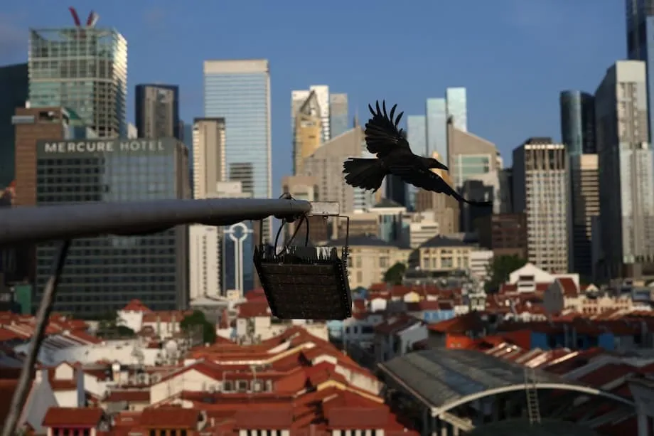 Singapura Berdepan Peningkatan Membimbangkan Kes Bunuh Diri dalam Kalangan Dewasa Muda: Memahami Krisis dan Langkah ke Hadapan