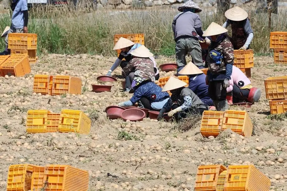 Korea Selatan Memperluas Kempen untuk Menggalakkan Panggilan Hormat kepada Pekerja Migran