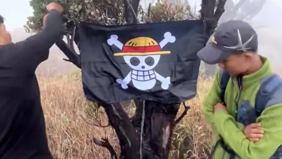 Bagaimana Bendera Lanun One Piece Menjadi Simbol Protes di Indonesia