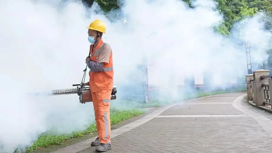 Wabak Chikungunya Terbesar di China: Usaha Guangdong Membendung Virus Bawaan Nyamuk