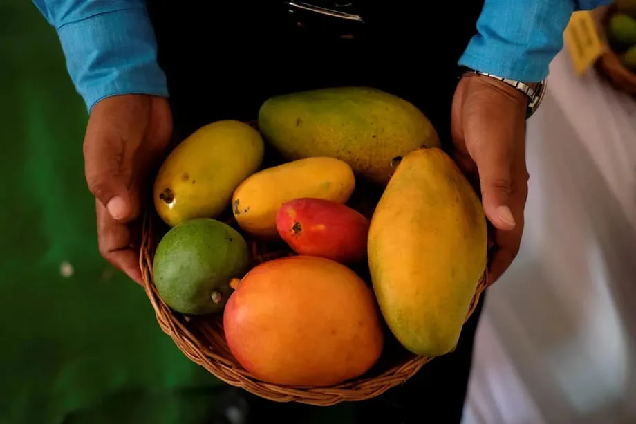 Mangga India dan Diabetes: Kajian Klinikal Baharu Mencabar Kepercayaan Lama