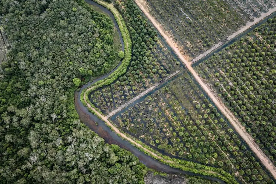 Tindakan Tegas Indonesia terhadap Perlombongan Haram di Hutan: Cita-cita, Kontroversi dan Akibat
