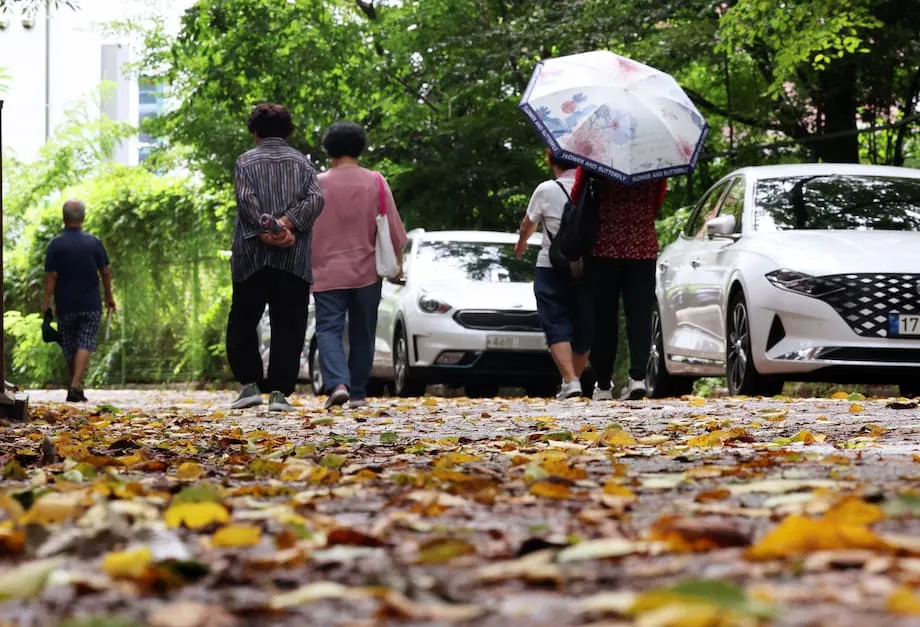 Amaran La Nina meningkat di Korea Selatan, dengan tempoh hujan pada awal musim luruh dan kemungkinan gelombang sejuk awal