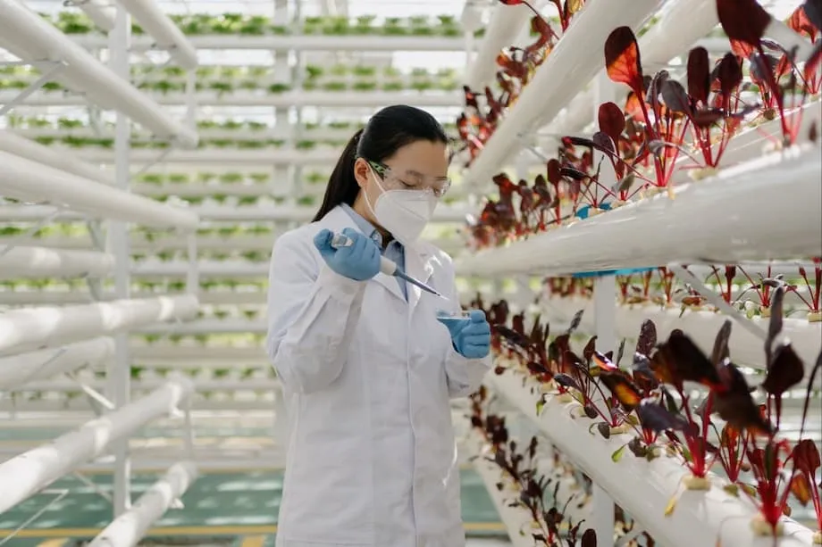 Program Rintis Shanghai Tawar Geran 50,000 Yuan untuk Kekalkan Ibu Baharu dalam Bidang Sains