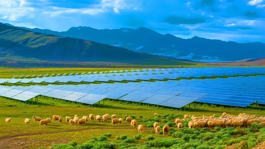 Ladang Solar Gergasi China Memulihkan Ekosistem dan Membekalkan Tenaga kepada Jutaan Penduduk