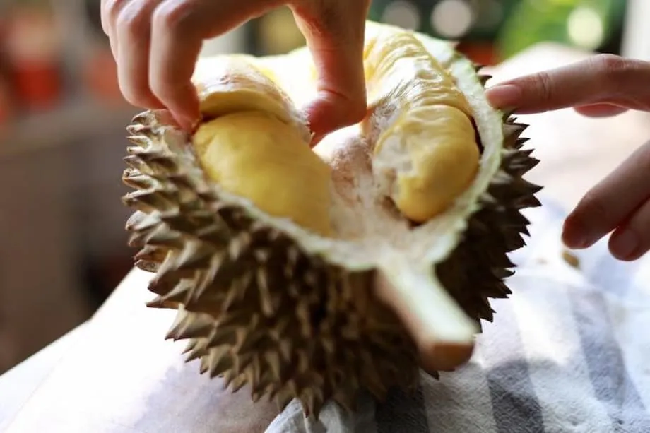 Daripada penghantaran laici untuk istana diraja hingga perkhidmatan ekspres durian moden: China berlumba memenuhi permintaan yang semakin meningkat