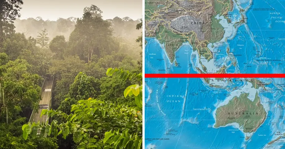 Mengapa Hutan Hujan Malaysia Antara Ekosistem Tertua di Bumi