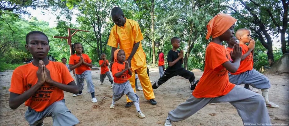 Institut Konfusius di Afrika: Bahasa, Kuasa Lembut dan Peranan Tempatan