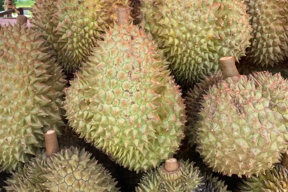 Indonesia giat menjual durian terus ke China, dengan rantaian sejuk dan sanitasi menjadi tumpuan