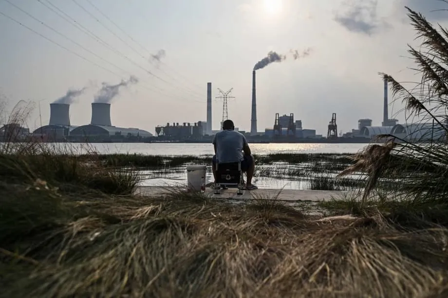 China menahan komitmen dana untuk tabung hutan Brazil, gesa negara kaya pimpin usaha di COP30