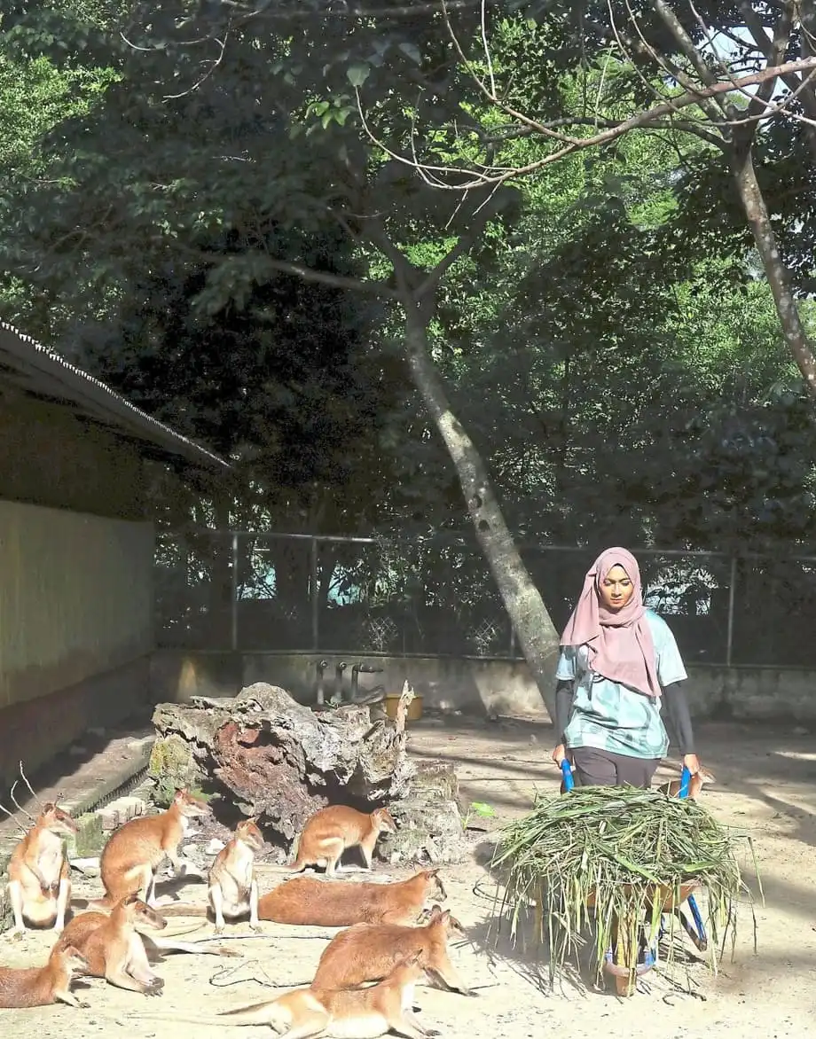 Sukarelawan Membawa Perubahan di Zoo Negara Menerusi Program KeeperKu