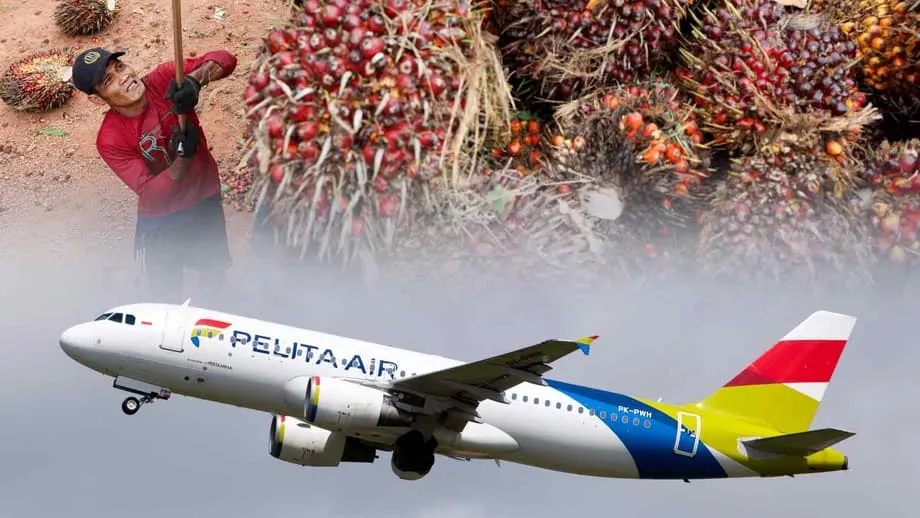 Indonesia Komersialkan Bahan Api Jet Berasaskan Minyak Sawit dalam Tempoh 3 Tahun