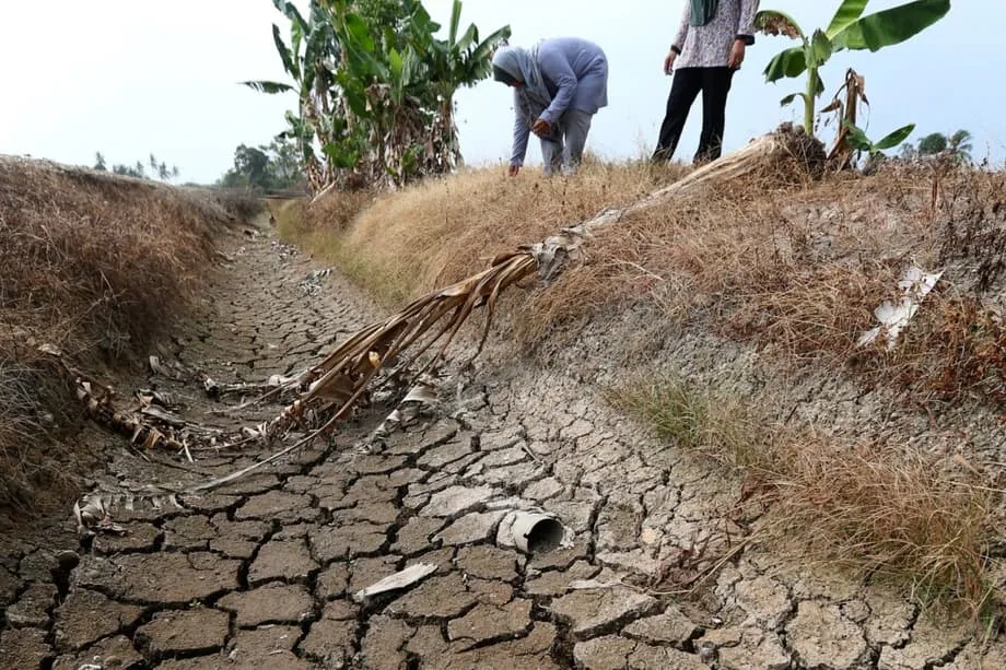 Lonjakan Pusat Data Johor Berdepan Krisis Air