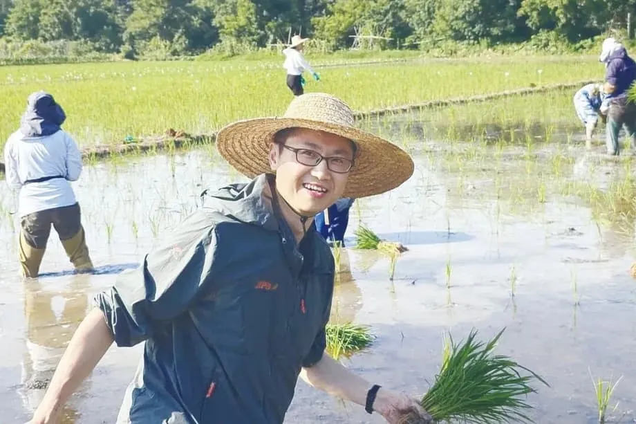 Penemuan Penting China dalam Padi Hibrid Klon Berpotensi Merevolusikan Keselamatan Makanan Global