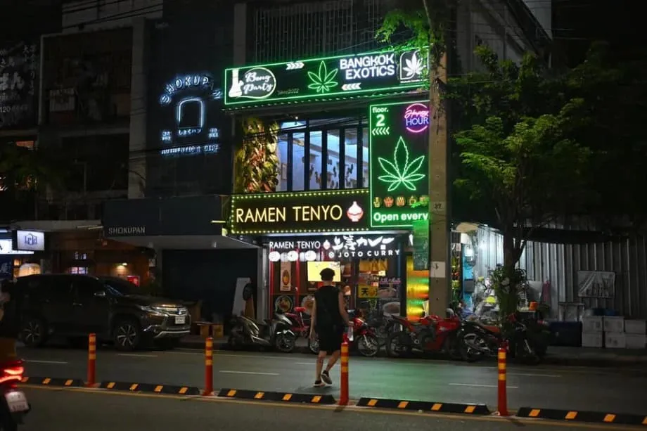 Eksperimen Ganja Thailand: Daripada Harapan Ekonomi kepada Kebimbangan Sosial