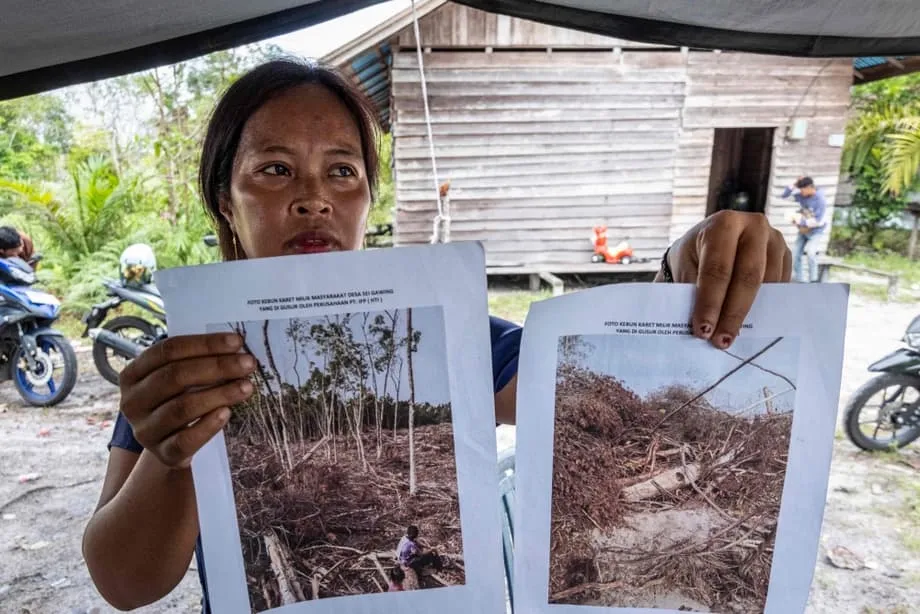 Gergasi Farmaseutikal Putuskan Hubungan Selepas Siasatan Kaitkan Pembungkusan Neutral Karbon dengan Kemusnahan Habitat Orangutan