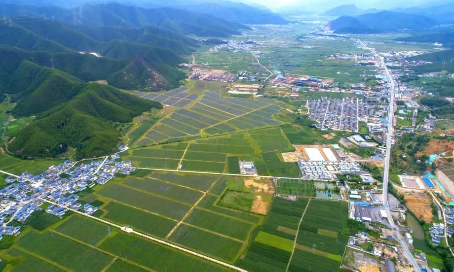 Revolusi Beri Bir China: Bagaimana Wilayah Yunnan Mengubah Buah Import Mewah Menjadi Kuasa Eksport Global