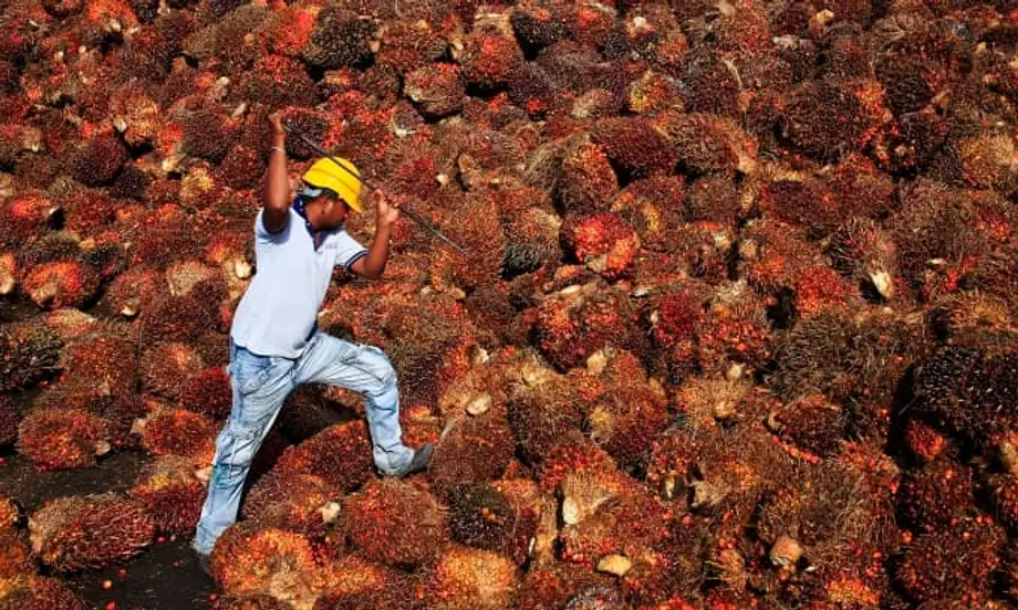 Malaysia menyasarkan pemulihan perdagangan minyak sawit dengan China ketika jurang harga memihak kepada minyak kacang soya