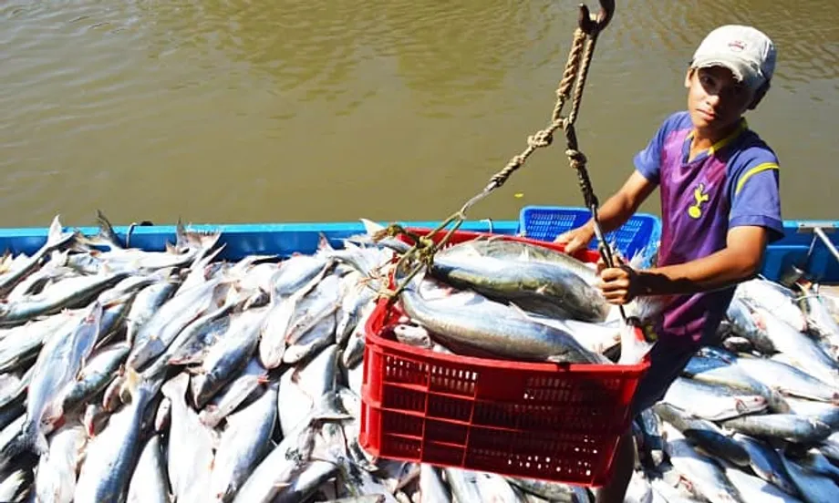 Vietnam Meningkat sebagai Pembekal Makanan Laut Ketiga Terbesar Singapura