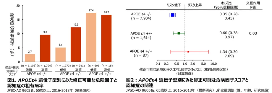 Japanese Dementia Study Finds Different Links Between APOE ε4 and Modifiable Risk Factors