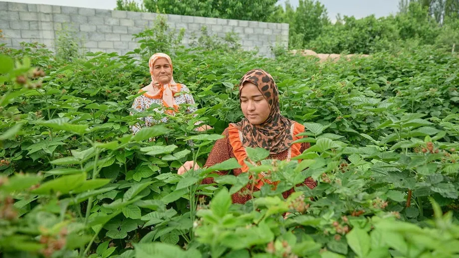 World Bank Raises Uzbekistan's 2026 Growth Forecast to 7.9% as Regional Economy Slows
