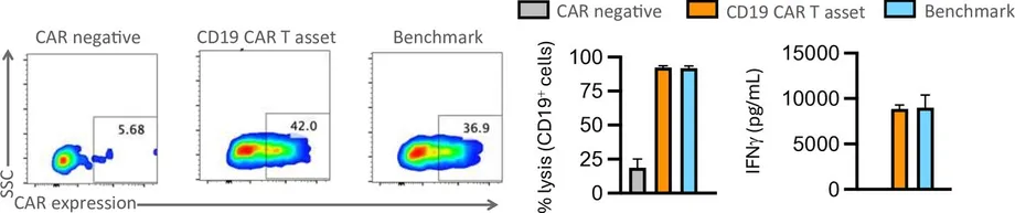 Nepal Treats First Patient With Locally Made CAR-T Cancer Therapy
