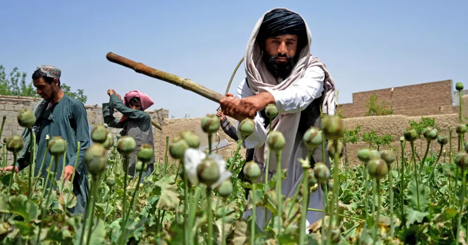 Afghanistan's Opium Ban Pushes Poppy Farming Into Pakistan and Iran
