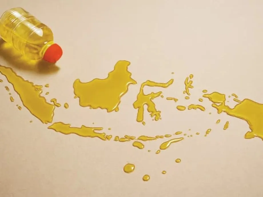 Bagaimana Minyak Sawit Indonesia Menyokong Keselamatan Makanan dan Kestabilan Harga di Pakistan